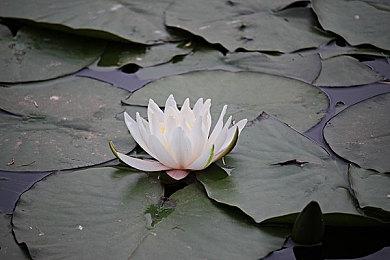 《堡垒之夜》第三章第二赛季故事预告 联动《奇异博士》